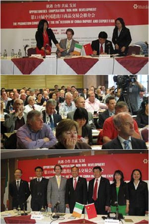 驻爱尔兰大使刘碧伟出席第110届广交会都柏林推介会并致辞