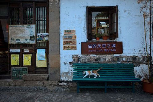 猫的天空之城概念书店